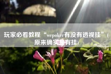 玩家必看教程“wepoker有没有透视挂”(原来确实是有挂)