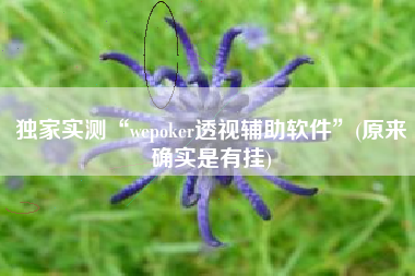 独家实测“wepoker透视辅助软件	”(原来确实是有挂)
