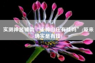 实测神器辅助“雀神山庄有挂吗	”(原来确实是有挂)