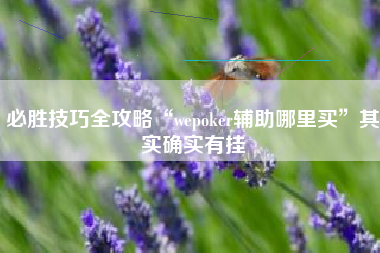 必胜技巧全攻略“wepoker辅助哪里买”其实确实有挂