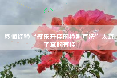 秒懂经验“微乐开挂的检测方法”太坑了真的有挂