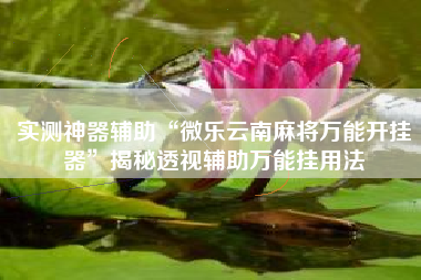 实测神器辅助“微乐云南麻将万能开挂器	”揭秘透视辅助万能挂用法