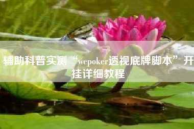 辅助科普实测“wepoker透视底牌脚本”开挂详细教程