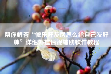 帮你解答“微乐好友房怎么给自己发好牌”详细外挂透视辅助软件教程