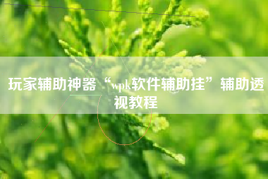 玩家辅助神器“wpk软件辅助挂”辅助透视教程