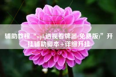 辅助教程“wpk透视看牌器(免费版)”开挂辅助脚本+详细开挂