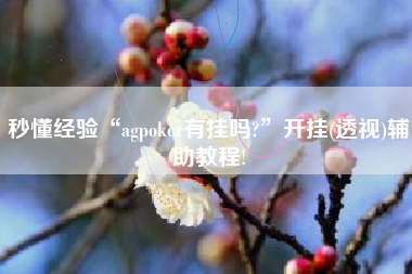 秒懂经验“agpoker有挂吗?”开挂(透视)辅助教程!