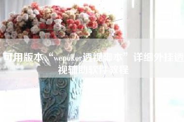 可用版本“wepoker透视脚本”详细外挂透视辅助软件教程