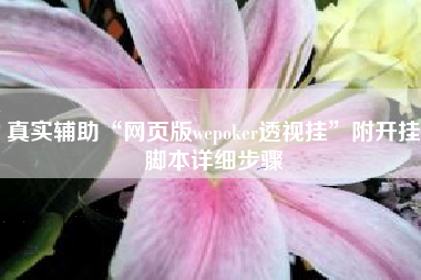 真实辅助“网页版wepoker透视挂	”附开挂脚本详细步骤