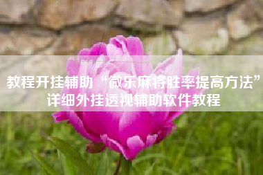 教程开挂辅助“微乐麻将胜率提高方法”详细外挂透视辅助软件教程