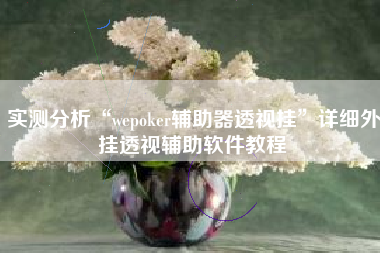 实测分析“wepoker辅助器透视挂	”详细外挂透视辅助软件教程