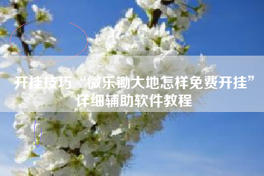 开挂技巧“微乐锄大地怎样免费开挂	”详细辅助软件教程