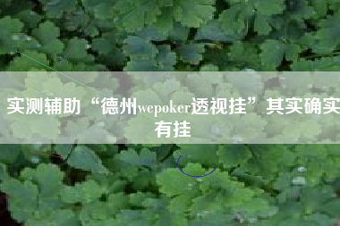 实测辅助“德州wepoker透视挂”其实确实有挂