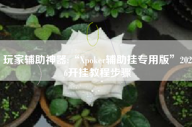 玩家辅助神器:“Xpoker辅助挂专用版	”2026开挂教程步骤