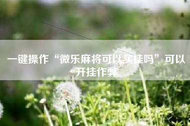 一键操作“微乐麻将可以买挂吗”可以开挂作弊