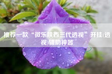 推荐一款“微乐陕西三代透视”开挂(透视)辅助神器