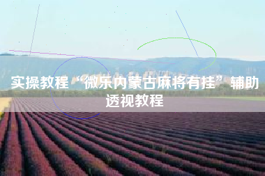 实操教程“微乐内蒙古麻将有挂	”辅助透视教程