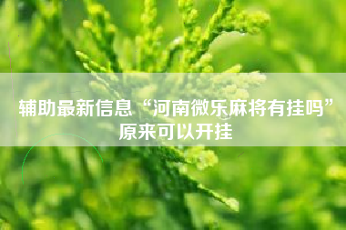辅助最新信息“河南微乐麻将有挂吗”原来可以开挂