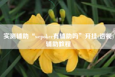 实测辅助“wepoker有辅助吗”开挂(透视)辅助教程