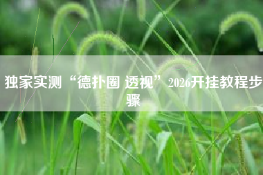 独家实测“德扑圈 透视”2026开挂教程步骤