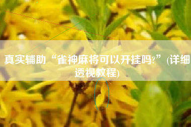 真实辅助“雀神麻将可以开挂吗?”(详细透视教程)