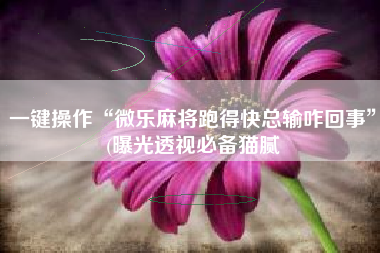 一键操作“微乐麻将跑得快总输咋回事	”(曝光透视必备猫腻