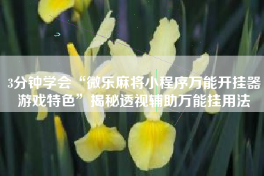 3分钟学会“微乐麻将小程序万能开挂器游戏特色	”揭秘透视辅助万能挂用法