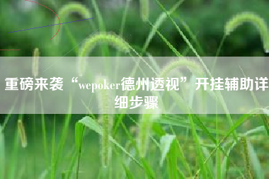 重磅来袭“wepoker德州透视”开挂辅助详细步骤