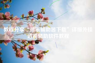 教程分享“微乐辅助器下载	”详细外挂透视辅助软件教程