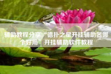 辅助教程分享“德扑之星开挂辅助器哪个好用	”开挂辅助软件教程