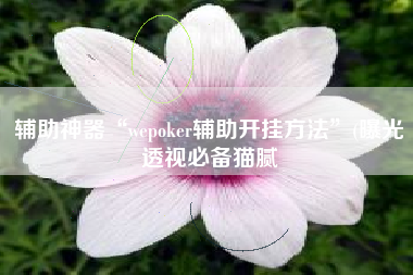 辅助神器“wepoker辅助开挂方法”(曝光透视必备猫腻
