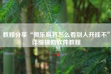 教程分享“微乐麻将怎么看别人开挂不”详细辅助软件教程