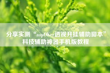 分享实测“aapOKer透视开挂辅助脚本”科技辅助神器手机版教程