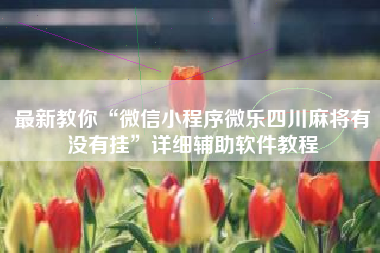 最新教你“微信小程序微乐四川麻将有没有挂”详细辅助软件教程