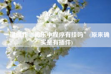一键操作“微乐小程序有挂吗”(原来确实是有插件)