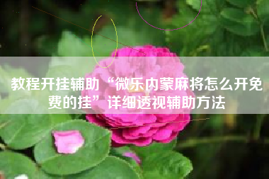 教程开挂辅助“微乐内蒙麻将怎么开免费的挂”详细透视辅助方法