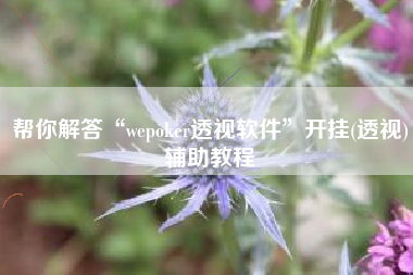 帮你解答“wepoker透视软件	”开挂(透视)辅助教程