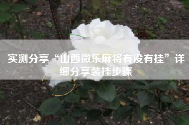 实测分享“山西微乐麻将有没有挂	”详细分享装挂步骤