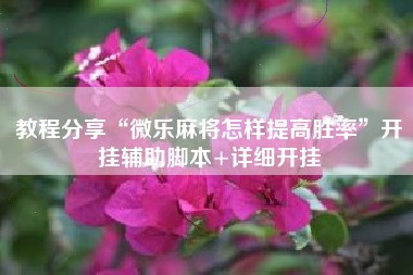 教程分享“微乐麻将怎样提高胜率”开挂辅助脚本+详细开挂