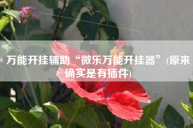 万能开挂辅助“微乐万能开挂器”(原来确实是有插件)