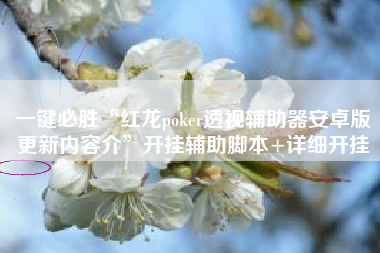 一键必胜“红龙poker透视辅助器安卓版更新内容介	”开挂辅助脚本+详细开挂