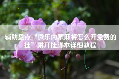 辅助盘点“微乐内蒙麻将怎么开免费的挂”附开挂脚本详细教程