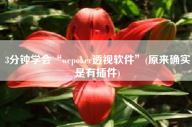 3分钟学会“wepoker透视软件	”(原来确实是有插件)