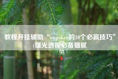 教程开挂辅助“wepoker的10个必赢技巧”(曝光透视必备猫腻