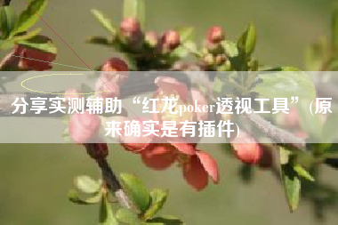 分享实测辅助“红龙poker透视工具”(原来确实是有插件)