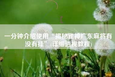 一分钟介绍使用“揭秘雀神广东麻将有没有挂”(详细透视教程)