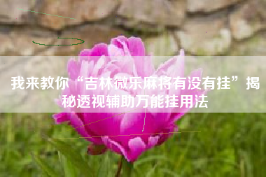 我来教你“吉林微乐麻将有没有挂	”揭秘透视辅助万能挂用法