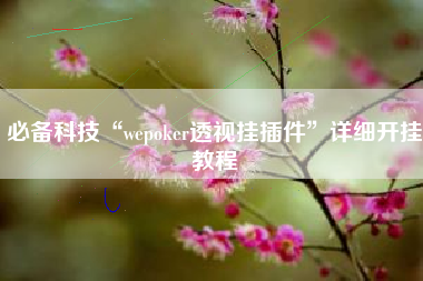 必备科技“wepoker透视挂插件”详细开挂教程