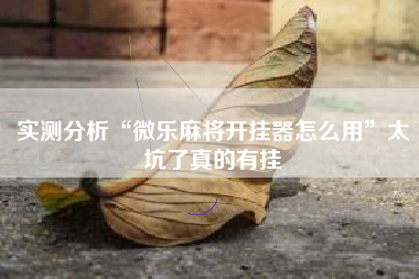实测分析“微乐麻将开挂器怎么用”太坑了真的有挂