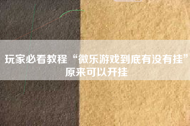 玩家必看教程“微乐游戏到底有没有挂”原来可以开挂